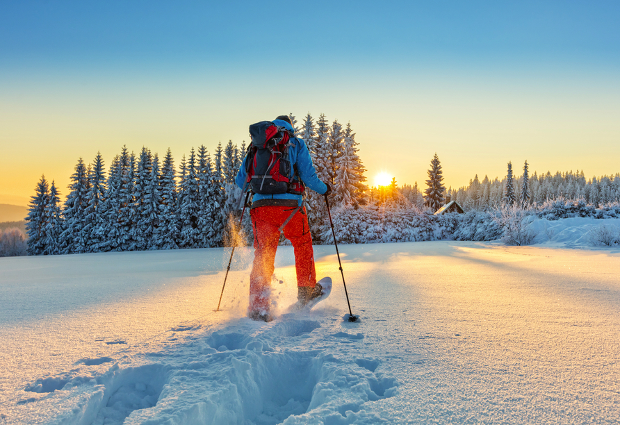 Auch Winterwanderer kommen im Engadin auf Ihre Kosten.