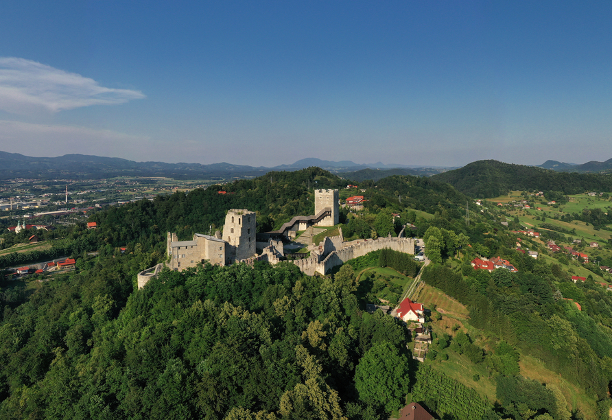 Erleben Sie die grüne Landschaft rund um Celje.