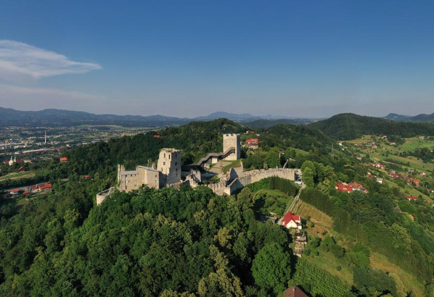 Erleben Sie die grüne Landschaft rund um Celje.