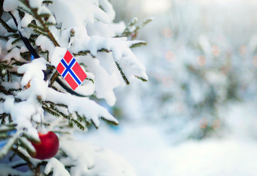 Ihre Norwegenreise in der Adventszeit wird für Sie zum unvergesslichen Erlebnis.