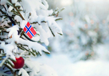 Ihre Norwegenreise in der Adventszeit wird für Sie zum unvergesslichen Erlebnis.