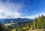 Erleben Sie die atemberaubende Natur Österreichs.