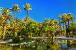Der herrliche Palmenhain von Elche gehört zum Weltkulturerbe.