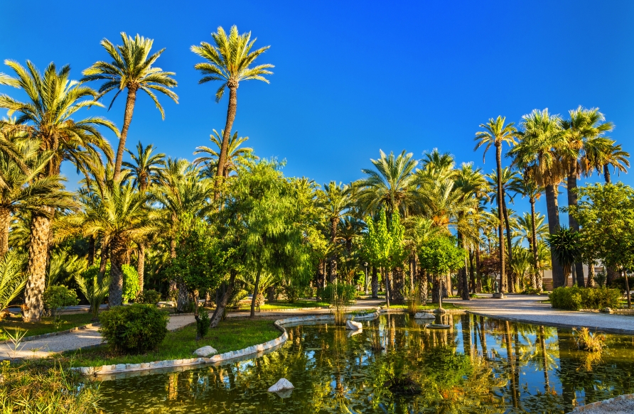 Der herrliche Palmenhain von Elche gehört zum Weltkulturerbe.