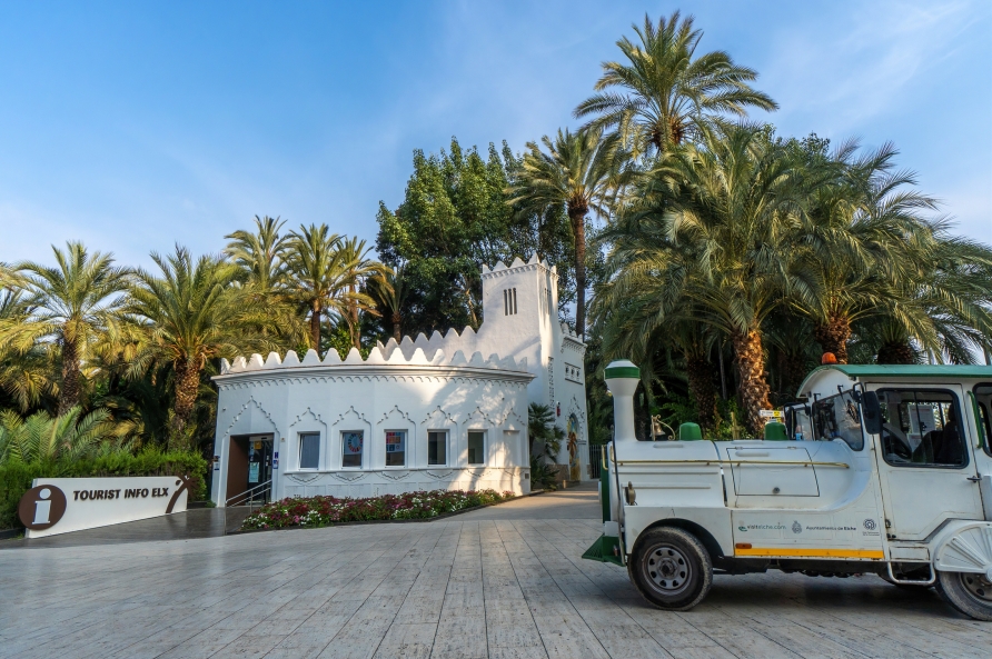 Den Palmenhain von Elche erkunden Sie mit dem beliebten Minizug.