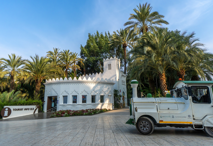 Den Palmenhain von Elche erkunden Sie mit dem beliebten Minizug.