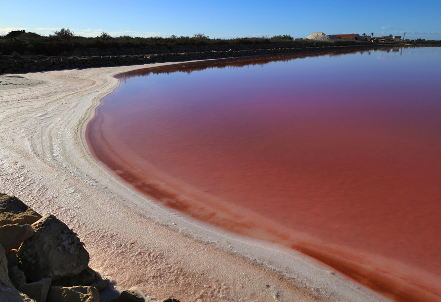 Besuchen Sie die Salinen von Santa Pola und finden Sie heraus, woher der hübsche rosa Farbton in der hiesigen Landschaft kommt.