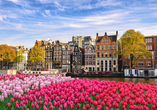 Typische Grachtenhäuser in Amsterdam
