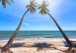 In Phan Thiết laden traumhaft schöne Sandstrände zu erholsamen Momenten ein.