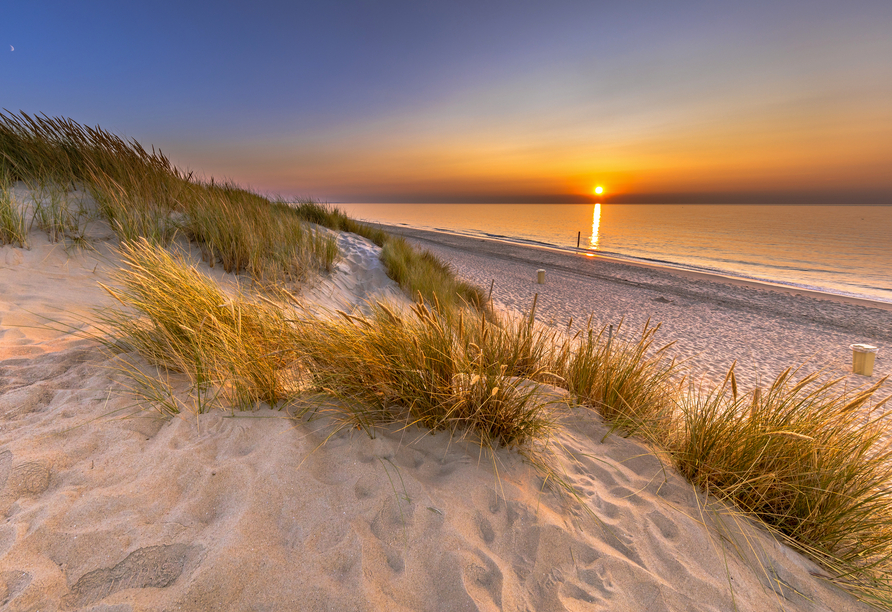 Zeeland mit seinen malerischen Dünen und Stränden liegt nur einen Katzensprung entfernt.