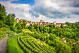 Herrliche Spazierwege in direkter Umgebung führen Sie unter anderem an Weinbergen vorbei.