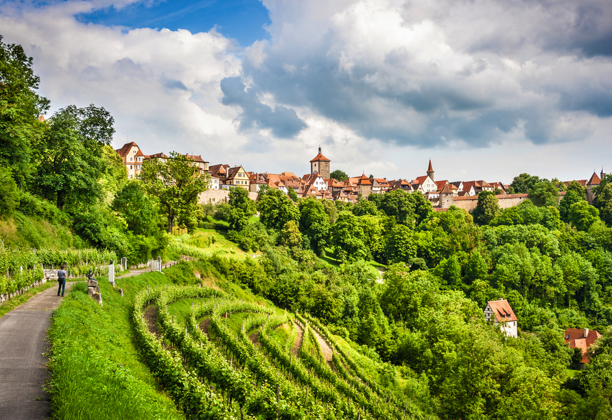 Herrliche Spazierwege in direkter Umgebung führen Sie unter anderem an Weinbergen vorbei.