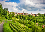 Herrliche Spazierwege in direkter Umgebung führen Sie unter anderem an Weinbergen vorbei.