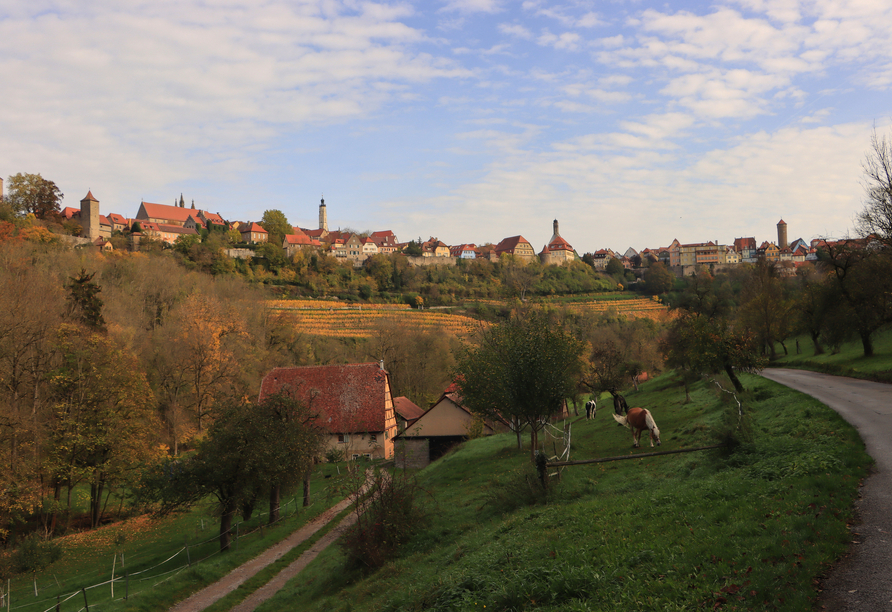 Erleben Sie den goldenen Oktober im Taubertal – hier mit Blick auf Rothenburg von der Lukasrödermühle.