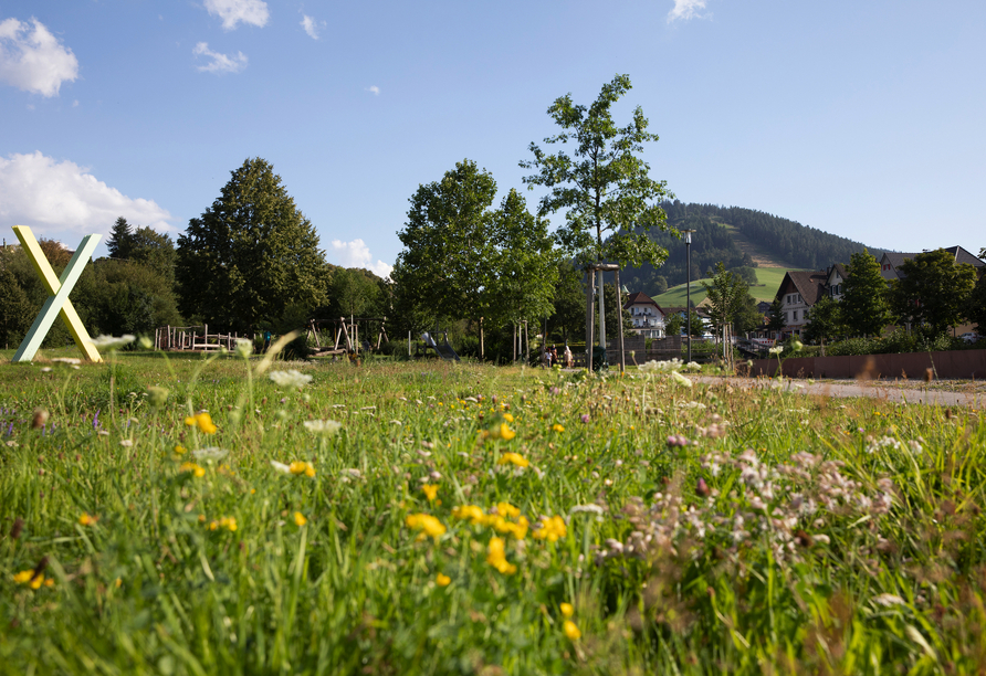 Der Schwarzwald begeistert mit dichten Wäldern, idyllischen Landschaften und zahlreichen Möglichkeiten für erholsame Ausflüge.