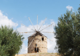 Erkunden Sie die Orte und Landschaft der Halbinsel Chalkidiki mit typischen Merkmalen wie den hübschen Windmühlen.