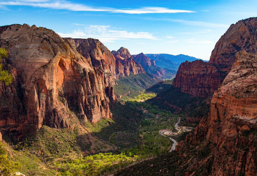 Genießen Sie den atemberaubenden Blick über die gewaltigen Felswände und tiefen Schluchten des Zion-Nationalparks in Utah.
