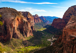 Genießen Sie den atemberaubenden Blick über die gewaltigen Felswände und tiefen Schluchten des Zion-Nationalparks in Utah.