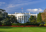 Die Stadtrundfahrt führt Sie auch zum Weißen Haus – ein weltbekanntes Wahrzeichen in Washington.