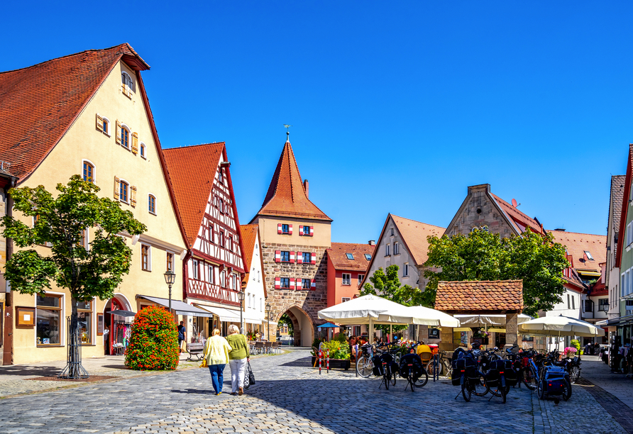 Machen Sie einen Ausflug zum Hersbrucker Tor in Lauf an der Pegnitz.