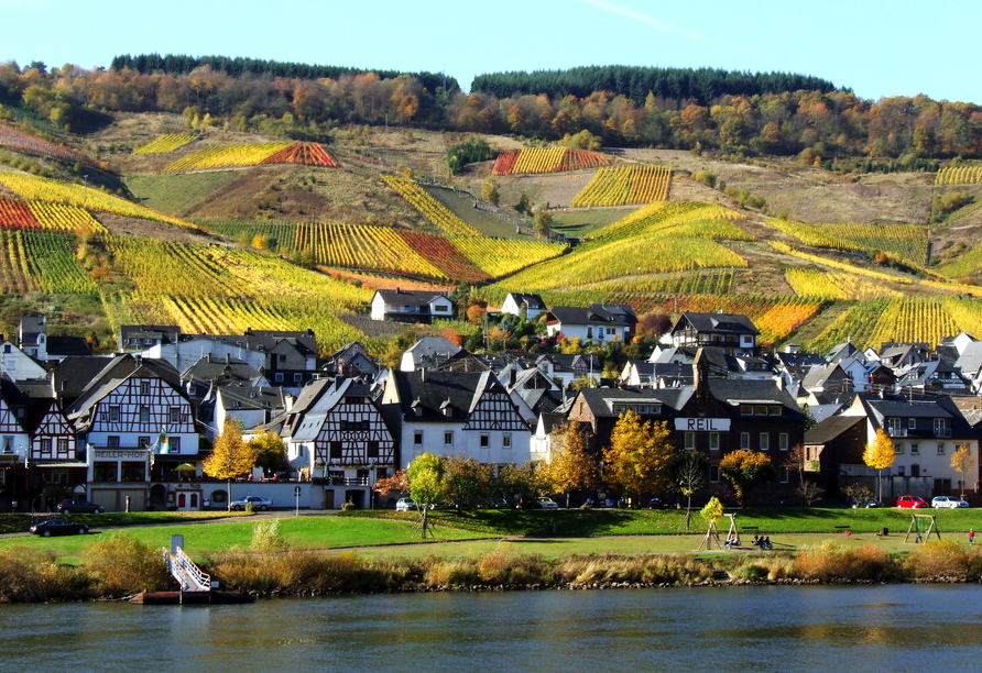 Lassen Sie sich von dem charmanten Weindorf Reil mit seiner malerischen Lage zwischen Mosel und Weinbergen begeistern.