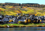 Lassen Sie sich von dem charmanten Weindorf Reil mit seiner malerischen Lage zwischen Mosel und Weinbergen begeistern.