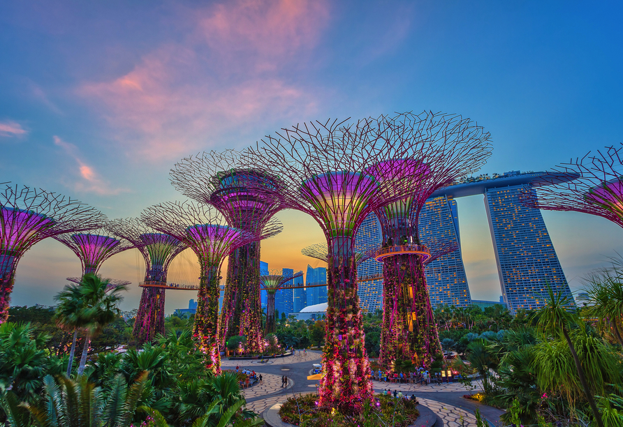 Die berühmten Supertree Groves in Singapur