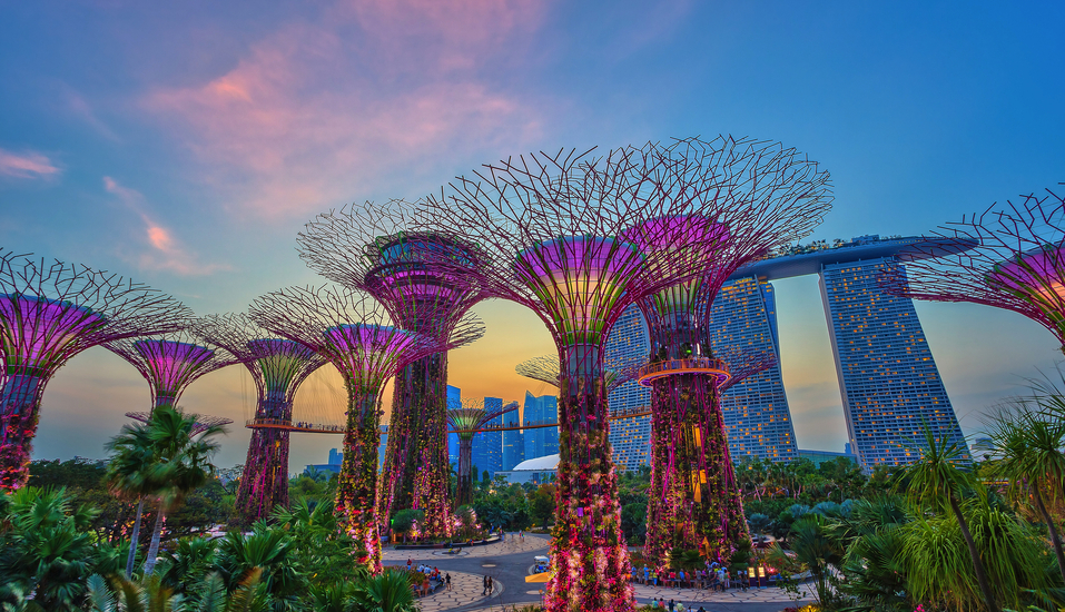 Die berühmten Supertree Groves in Singapur