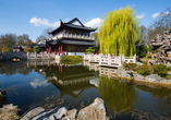 Lassen Sie sich vom Chinesischen Garten im Luisenpark verzaubern.