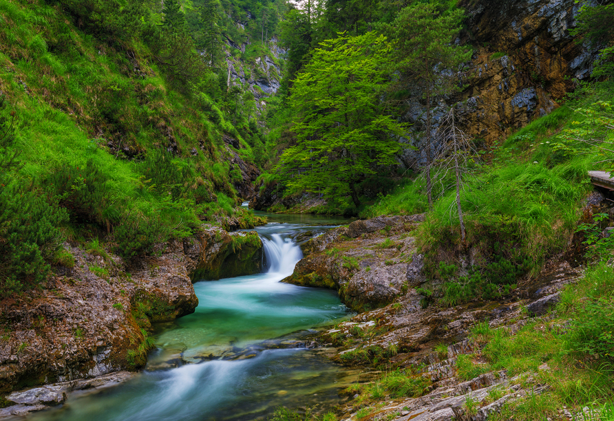 In Ihrem Urlaubsort Schneizlreuth können Sie die Weißbachschlucht entlanglaufen.