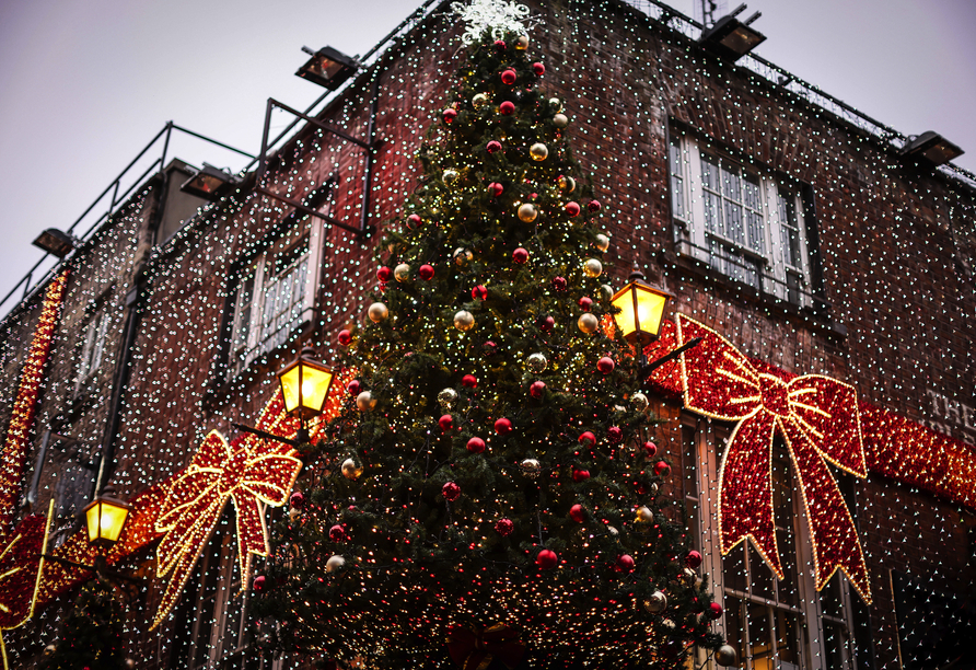 Dublin erwartet Sie in der Adventszeit mit toller Beleuchtung!