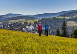 Ihr Hotel ist der ideale Ausgangspunkt für Ausflüge in die Natur des Erzgebirges.