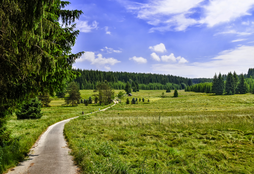 Das Schwarzwassertal lädt Sie zu traumhaften Wanderungen ein.