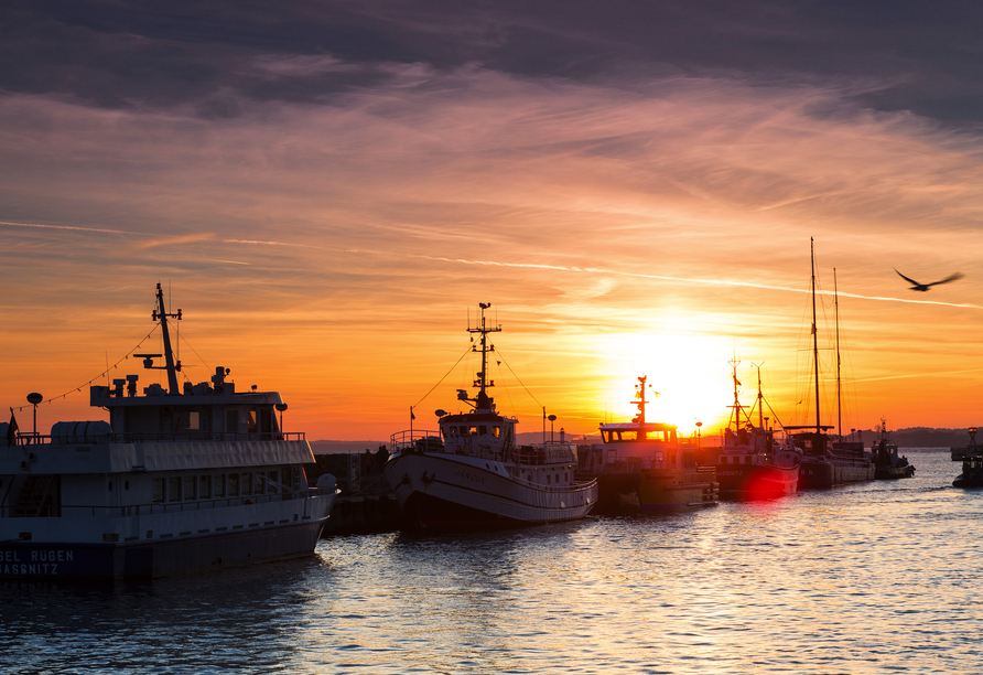 Am Hafen von Sassnitz tummeln sich zahlreiche Fischerboote.