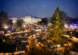 Als einer der ältesten Weihnachtsmärkte ist der traditionelle Christkindlmarkt in Wien weltweit bekannt.