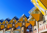 Die Kubushäuser in Würfelform sind faszinierend anzuschauen und begeistern Architekturliebhaber.