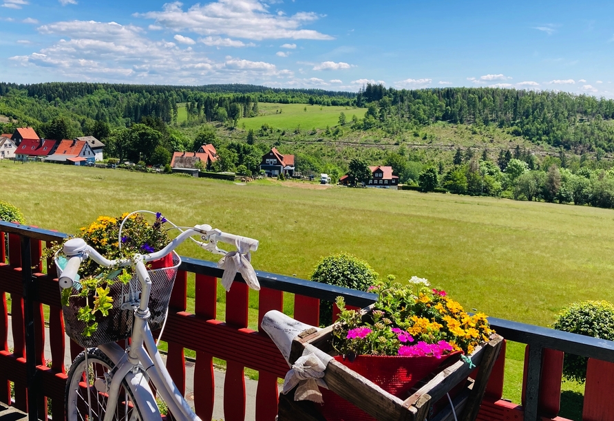 Von der Terrasse genießen Sie den malerischen Blick über den Harz.