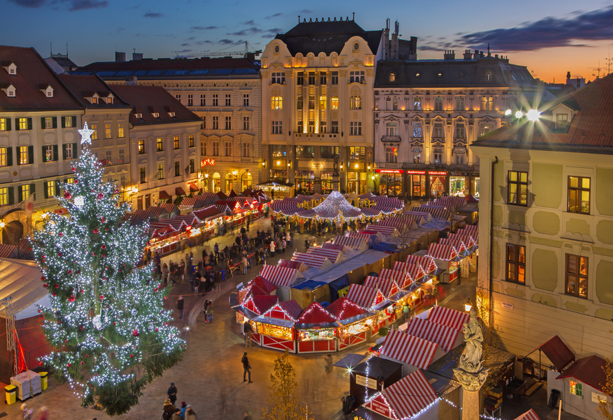 Der Weihnachtsmarkt in Bratislava verzaubert mit seiner festlichen Atmosphäre und den zahlreichen Lichtern.