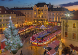 Der Weihnachtsmarkt in Bratislava verzaubert mit seiner festlichen Atmosphäre und den zahlreichen Lichtern.