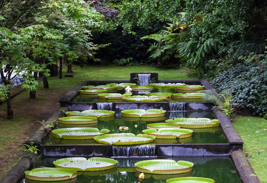 Erkunden Sie den herrlichen Terra Nostra Garden.