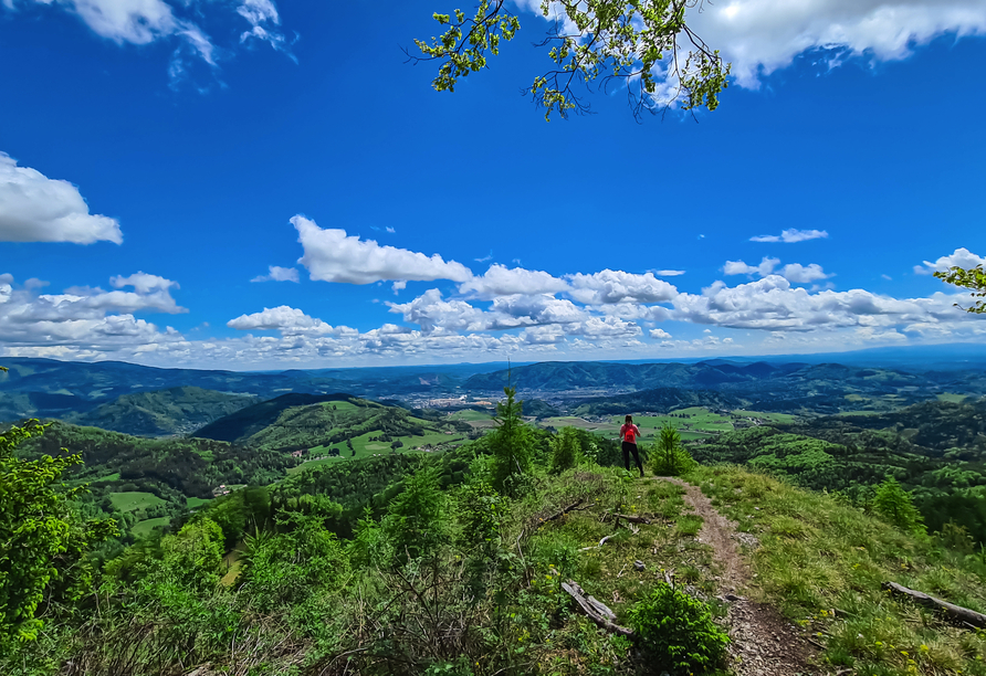 Das Grazer Bergland ist für Wanderungen bestens geeignet.