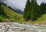 Entdecken Sie die prächtige Naturlandschaft in Kirchberg.