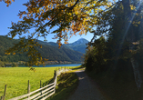 Ein empfehlenswertes Ausflugsziel für Wanderfans: der Gaisalmsteig am Achensee-Steilufer