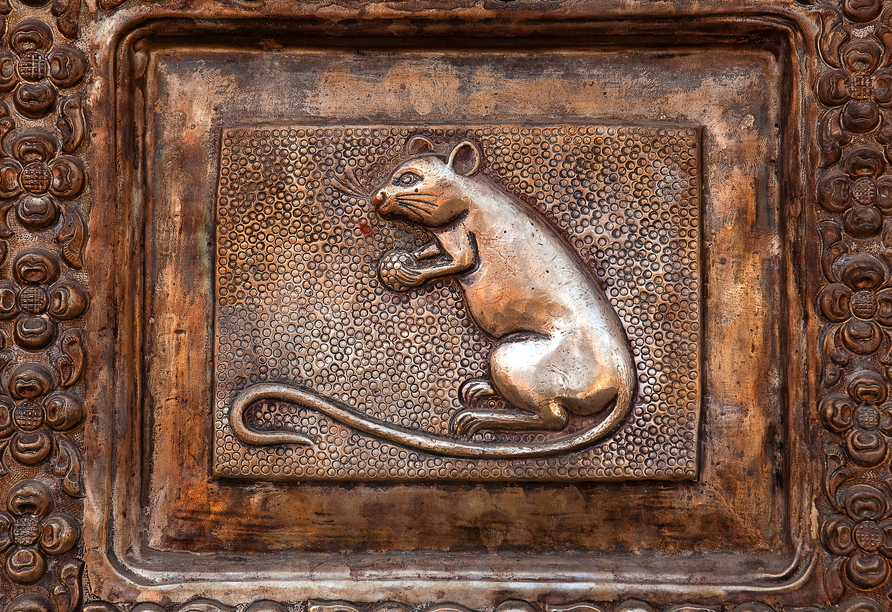 Erfahren Sie bei einer Besichtigung des Karni-Mata-Tempels in Deshnok alles über die heiligen Tempelratten.