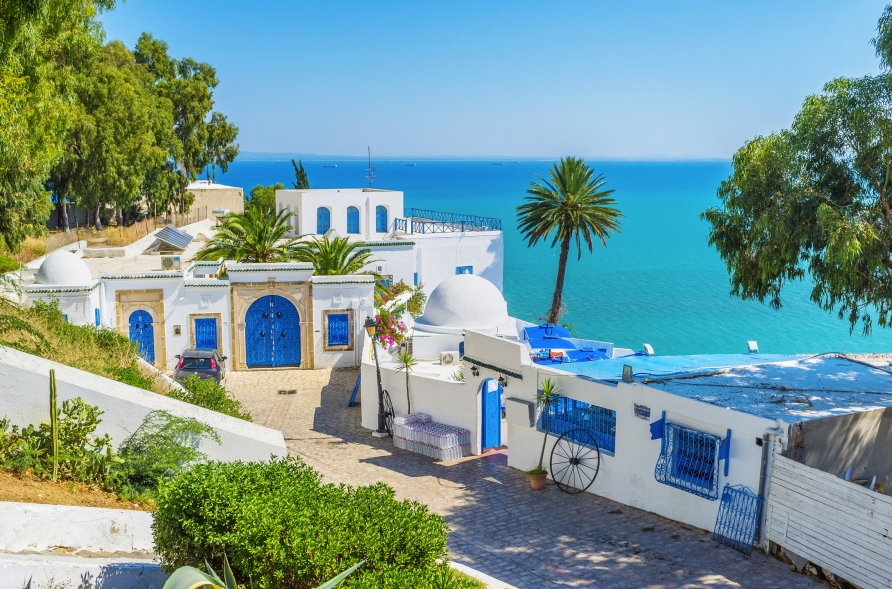 Freuen Sie sich auf Sidi Bou Said mit seinen hübschen weiß-blauen Häusern.
