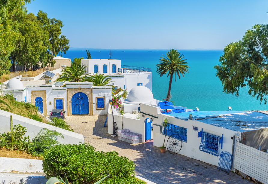 Freuen Sie sich auf Sidi Bou Said mit seinen hübschen weiß-blauen Häusern.