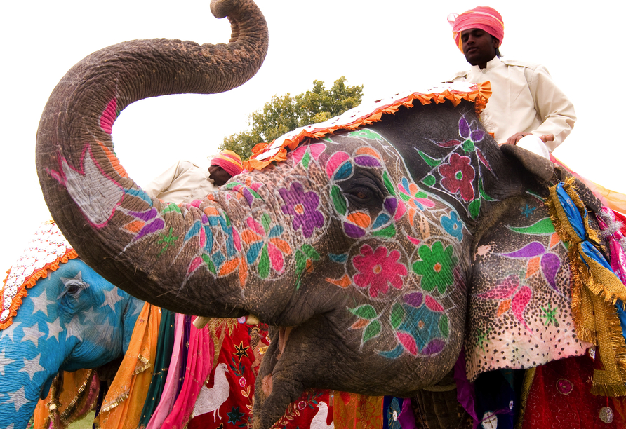 Erleben Sie die indischen Festlichkeiten zu den Festen Holi oder Diwali in Jaipur.