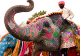 Erleben Sie die indischen Festlichkeiten zu den Festen Holi oder Diwali in Jaipur.
