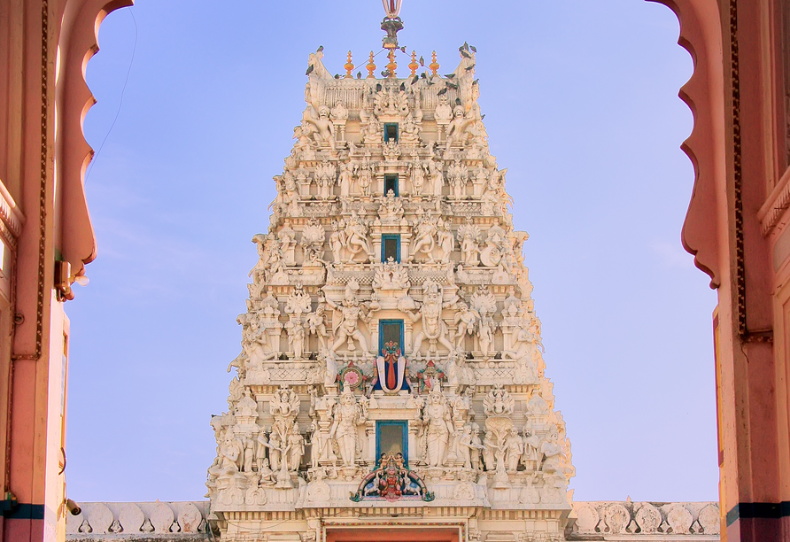 In der Heiligen Stadt Pushkar ist der Eintritt in den Brahma-Tempel für Sie inklusive.