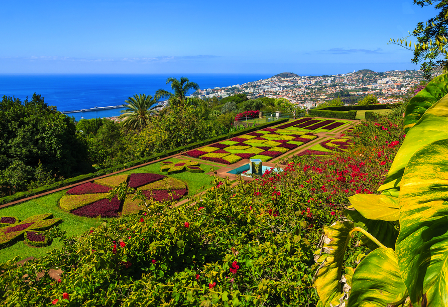 Die Blumeinsel Madeira begrüßt Sie in Funchal mit einer üppigen Blumenpracht.